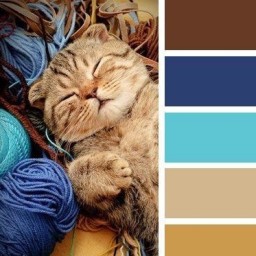 Мини-памятка о том, как правильно сочетать цвета