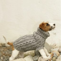 Одежда для питомца, вяжем спицами