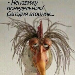 Понедельник - день тяжелый! Добавим ему юмора!