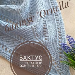 Бактус нежно голубого цвета