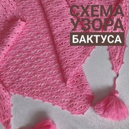 Бактус связан из пряжи "Слонимская"