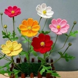 Космеи крючком