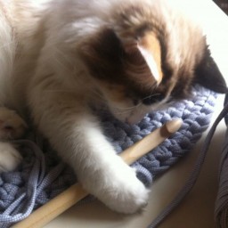 Домик для питомца из трикотажной пряжи