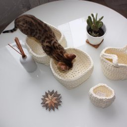 Вязаные работы Антоновой Виктории