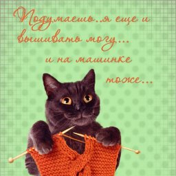 Я еще и на машинке вышивать умею...