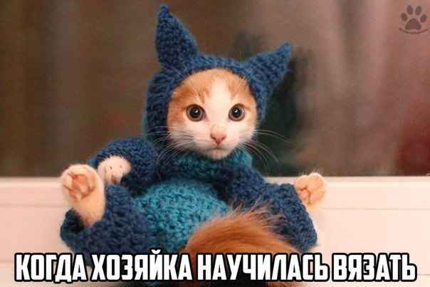 Как ваши питомцы относятся к вашему рукоделию? Как ваши питомцы относятся к вашему рукоделию?