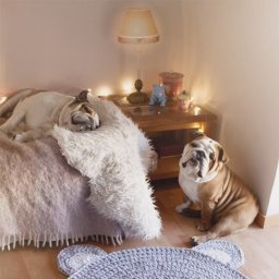 Милый коврик в детскую комнату