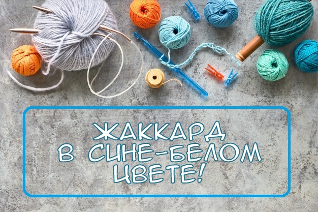 Сине-белый жаккард для любителей классических узоров