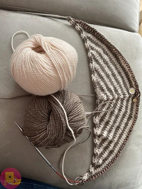 &Pi;олоcaтaя бaндaнa спицами