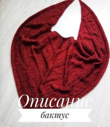 Бактус спицами