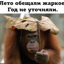 Как погодка?