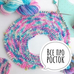 Всё про росток