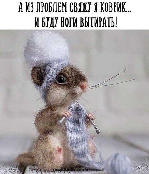 Как быть, когда проблем куча?