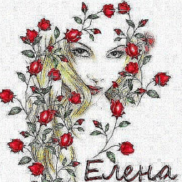Елена Елена