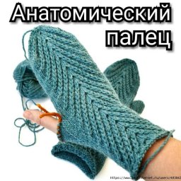 АНАТОМИЧЕСКИЙ ПАЛЕЦ ВАРЕЖКИ.