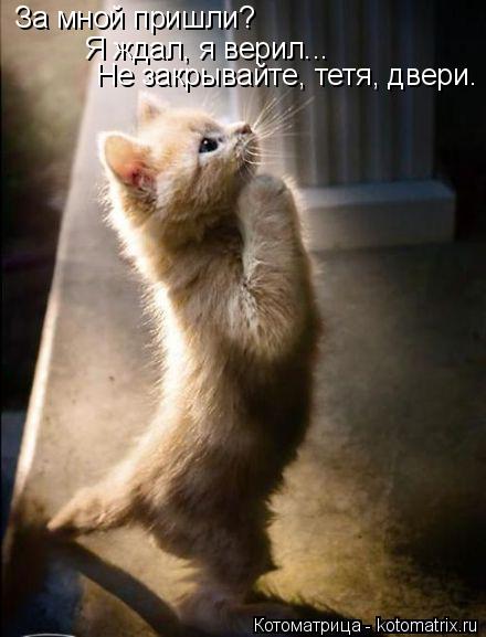 Как постирать вещь, чтобы не полиняла?