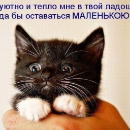 Расчёт первого ряда.