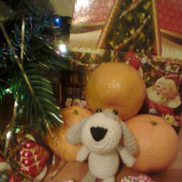 Символ 2018 года)))