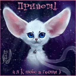 ГАЛИНА ГАЛИНА