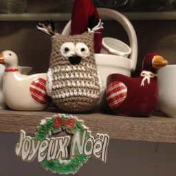 Первая сова.