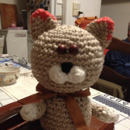 Очень воспитанный котик.