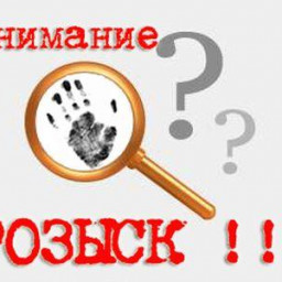 Вязаный контейнер для пакетов