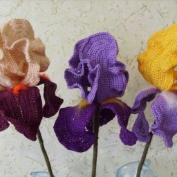 Девочки подскажите схему.