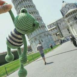 Воплощение фразы "Лягушка-путешественница"