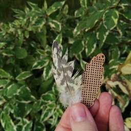 Легче перьев!