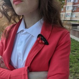 Мой снегирь-не гирь :-) Знакомьтесь!