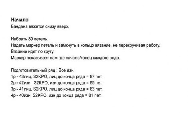 Описание стильного бактуса Описание стильного бактуса