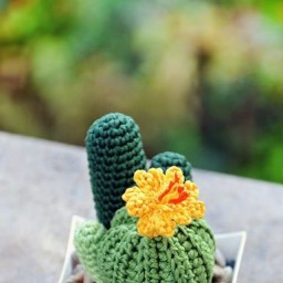 Вязаные кактусы