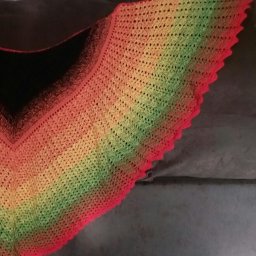 Выпускаю  жар- птицу!