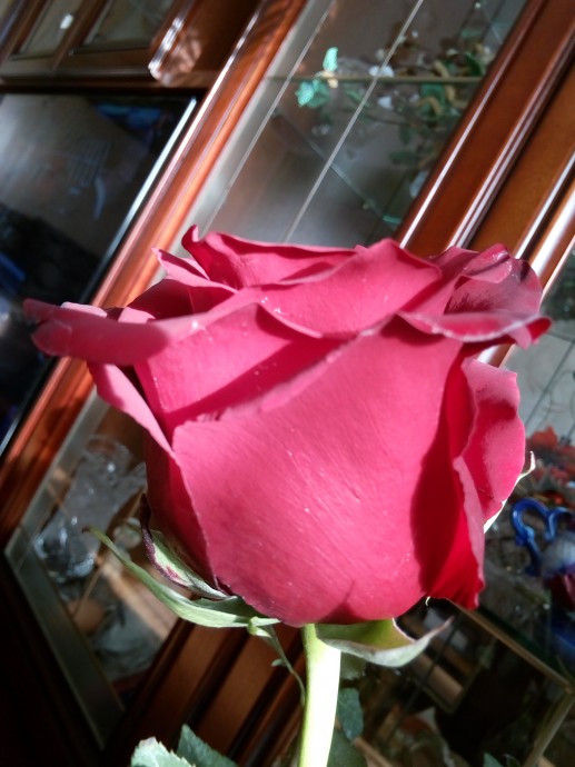 Пасхальная роза 2