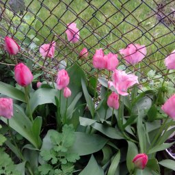 Никогда не говори Никогда!( мои стихи)