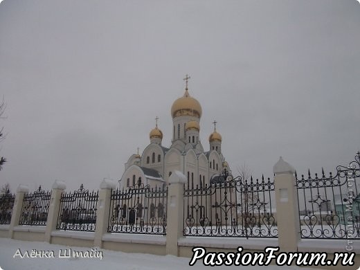 СОЧЕЛЬНИК ( мои стихи) СОЧЕЛЬНИК ( мои стихи)