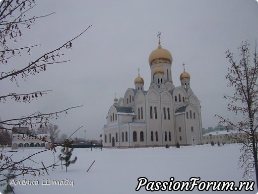 СОЧЕЛЬНИК ( мои стихи)