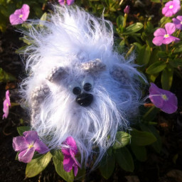 Собакин. Символ нового года