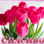 Носки Spring ecstasy от дизайнера Tiina Kuu 5