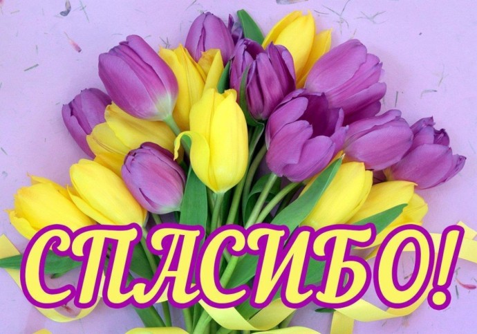 Шаль "Перо волшебной птицы" Шаль "Перо волшебной птицы"