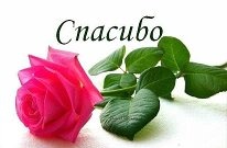 Следики "Интрига" Следики "Интрига"