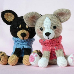 ​Собака чихуахуа крючком