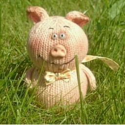 Символика грядущего года