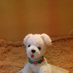 Щенок Белыш.