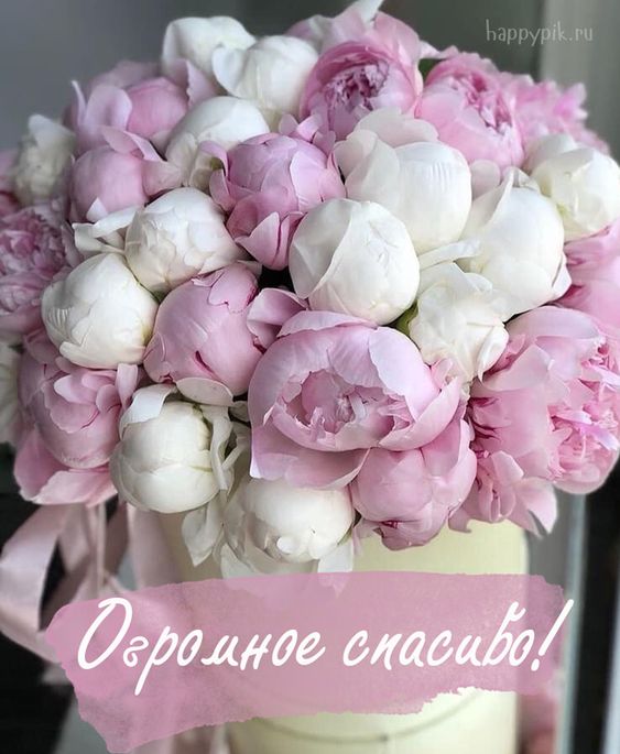 Спасибо огромное редакторам за необычный конкурс и прекрасный подарок! Спасибо огромное редакторам за необычный конкурс и прекрасный подарок!