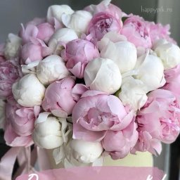 Спасибо огромное редакторам за необычный конкурс и прекрасный подарок!