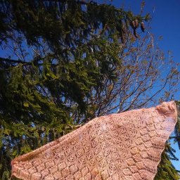 Шаль спицами -Пастушка-в золотом цвете