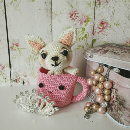 Чихуахуа в чашечке