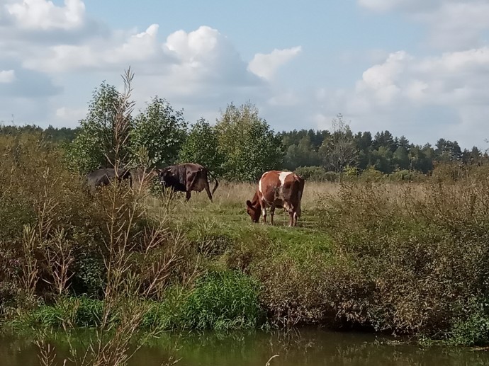 Выходной с пользой.