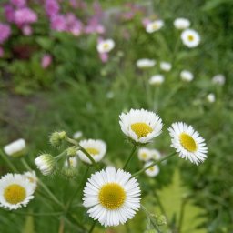 Осень, посылка, новые подвиги.